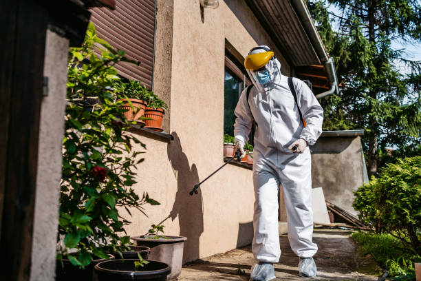 Trusted Bellevue, OH Pest Control Experts