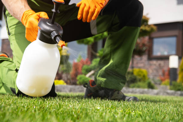 Best Ant Control Services  in Bellevue, OH