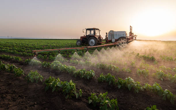 Best Commercial Pest Control Services  in Bellevue, OH