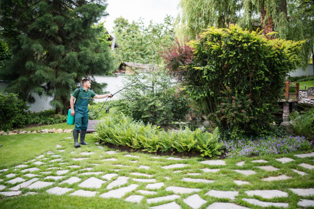 Best Bird Control  in Bellevue, OH