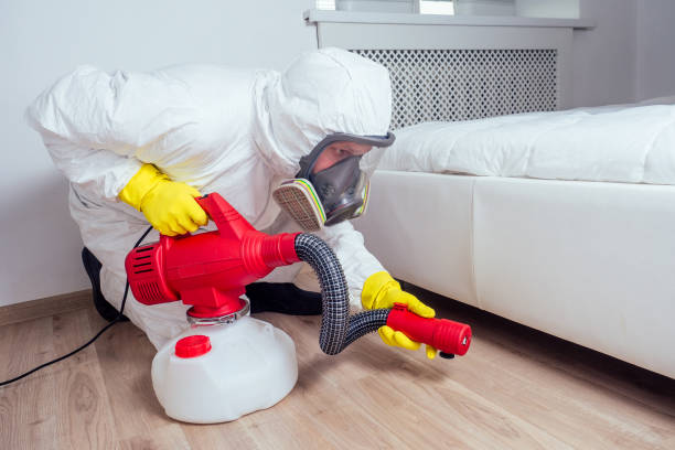Best Affordable Pest Control Services  in Bellevue, OH