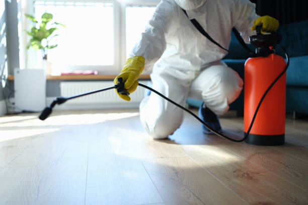Best Local Pest Control Services  in Bellevue, OH