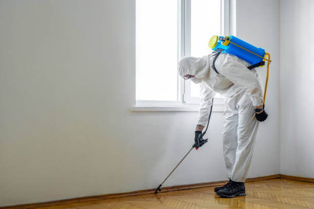 Best Mosquito Control Services  in Bellevue, OH