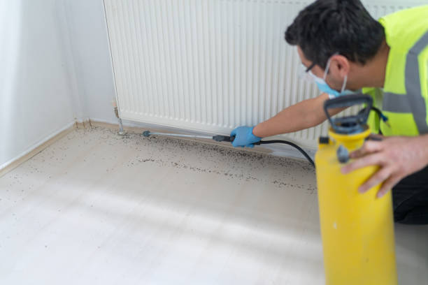 Best Affordable Pest Control Services  in Bellevue, OH